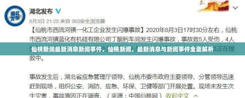 仙桃新闻事件全面解析，最新消息与动态分析