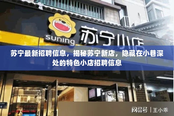 苏宁新店招聘信息揭秘，隐藏在小巷深处的特色小店招聘信息