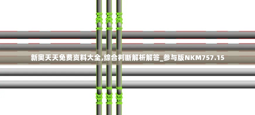 新奥天天免费资料大全,综合判断解析解答_参与版NKM757.15