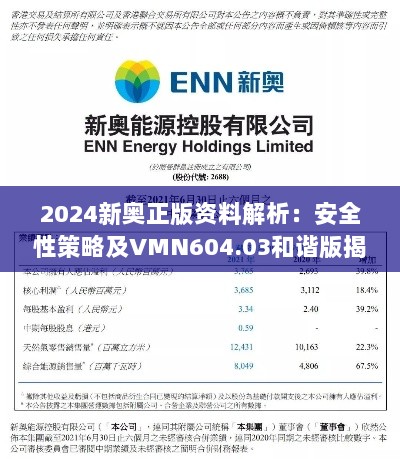 2024新奥正版资料解析：安全性策略及VMN604.03和谐版揭秘