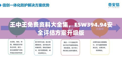 王中王免费资料大全集，ESW394.94安全评估方案升级版