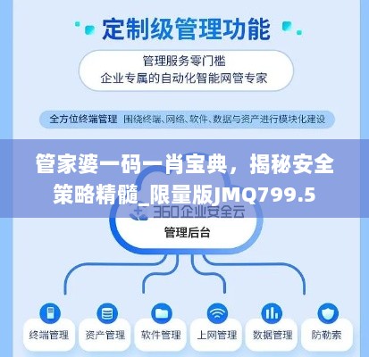 管家婆一码一肖宝典，揭秘安全策略精髓_限量版JMQ799.5