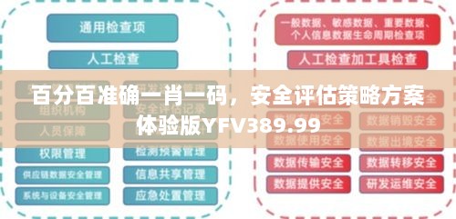 百分百准确一肖一码，安全评估策略方案体验版YFV389.99