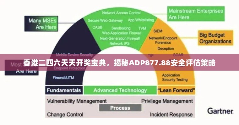 香港二四六天天开奖宝典，揭秘ADP877.88安全评估策略