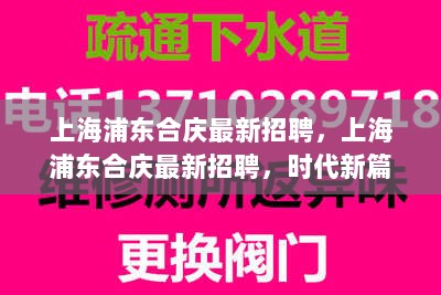 上海浦东合庆最新招聘，人才汇聚，共谱时代新篇章