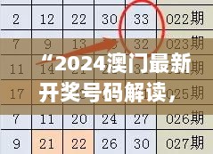 2024年11月12日 第64页