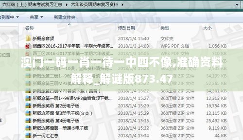 澳门一码一肖一待一中四不像,准确资料解释_解谜版873.47