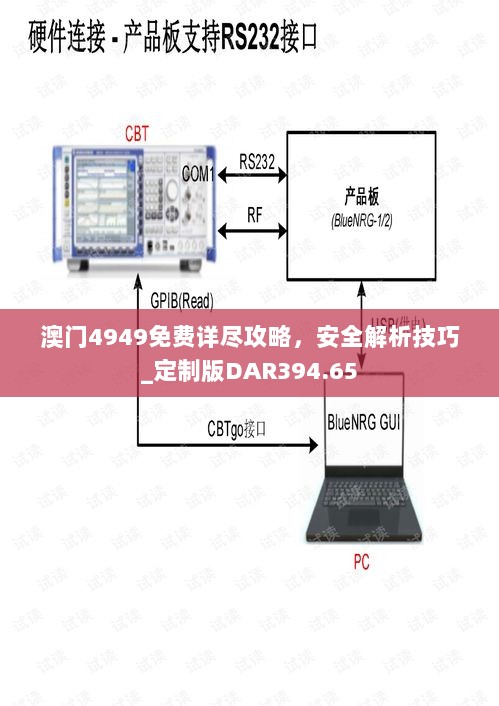 澳门4949免费详尽攻略，安全解析技巧_定制版DAR394.65