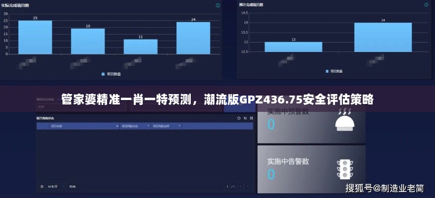 管家婆精准一肖一特预测，潮流版GPZ436.75安全评估策略