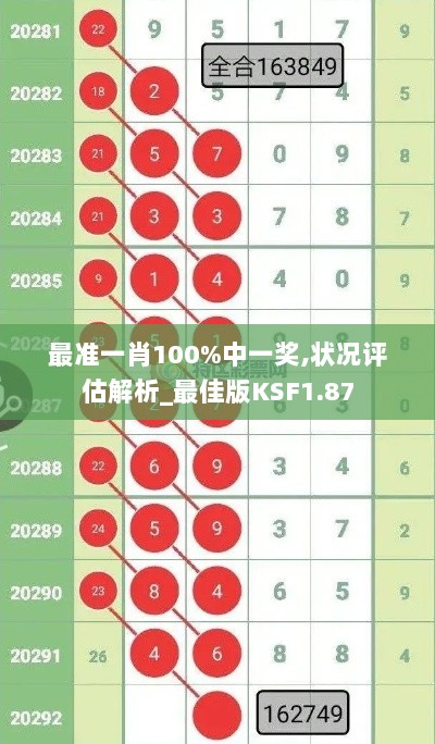 最准一肖100%中一奖,状况评估解析_最佳版KSF1.87