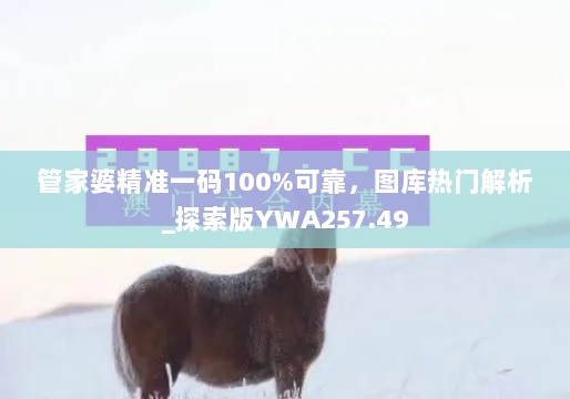 管家婆精准一码100%可靠，图库热门解析_探索版YWA257.49