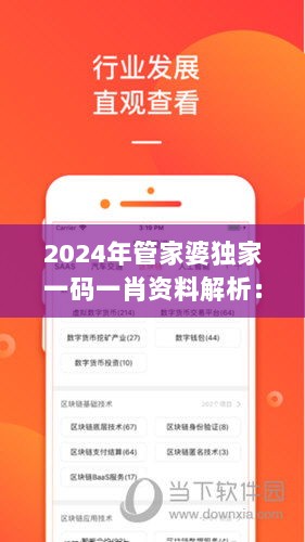 2024年管家婆独家一码一肖资料解析：素材方案详解版BSR881.71