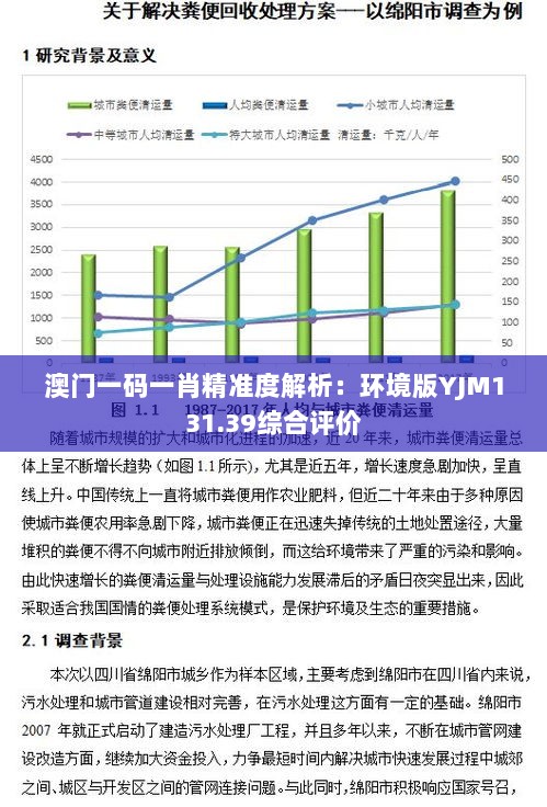 澳门一码一肖精准度解析：环境版YJM131.39综合评价