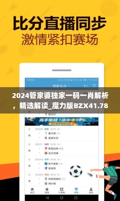 2024管家婆独家一码一肖解析，精选解读_魔力版BZX41.78