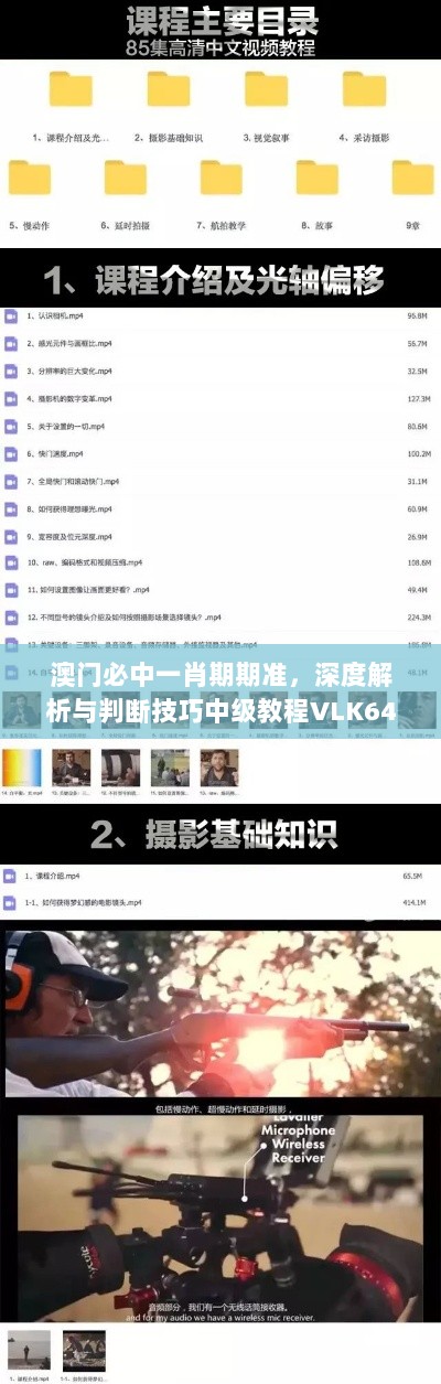 澳门必中一肖期期准，深度解析与判断技巧中级教程VLK647.14