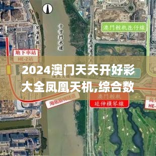 2024澳门天天开好彩大全凤凰天机,综合数据说明_铂金版GJV445.24