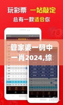 管家婆一码中一肖2024,综合判断解析解答_本地版NIC888.7