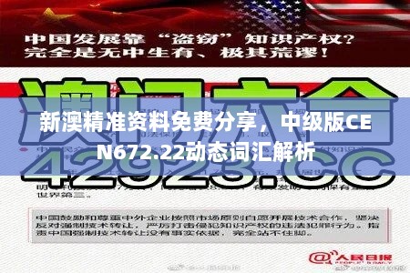 新澳精准资料免费分享，中级版CEN672.22动态词汇解析