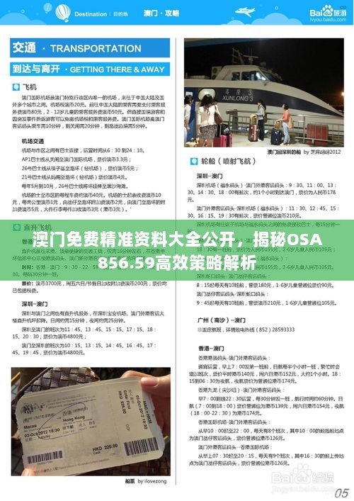 澳门免费精准资料大全公开，揭秘OSA856.59高效策略解析