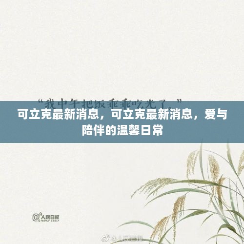 可立克，爱与陪伴的温馨日常最新消息