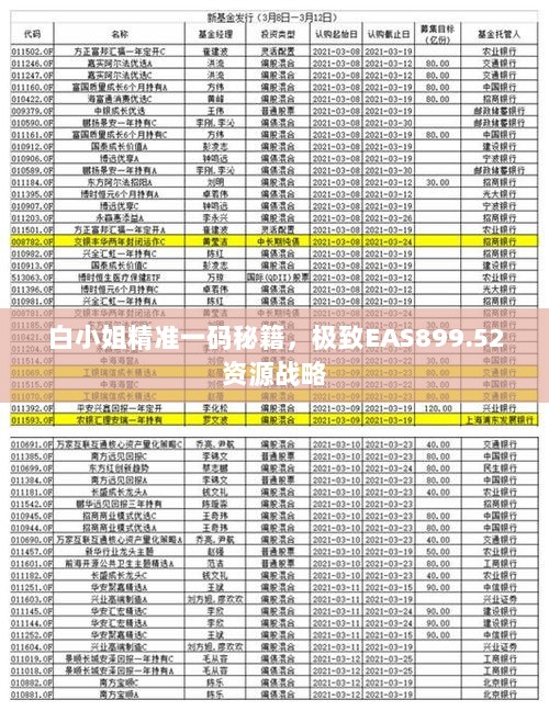 白小姐精准一码秘籍，极致EAS899.52资源战略