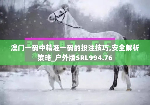 澳门一码中精准一码的投注技巧,安全解析策略_户外版SRL994.76