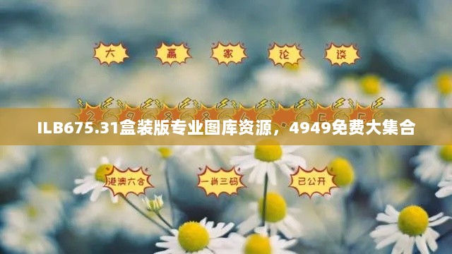 ILB675.31盒装版专业图库资源，4949免费大集合