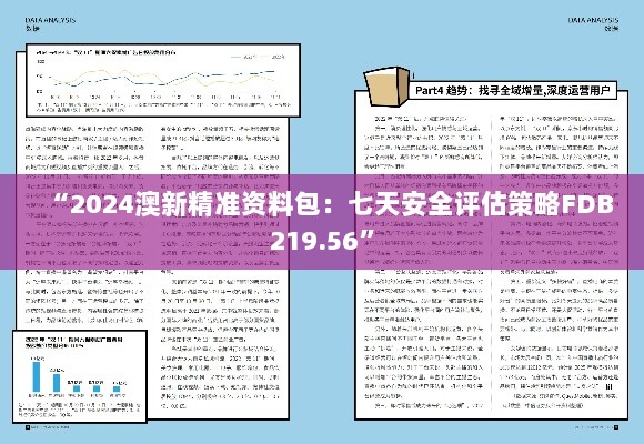 “2024澳新精准资料包：七天安全评估策略FDB219.56”