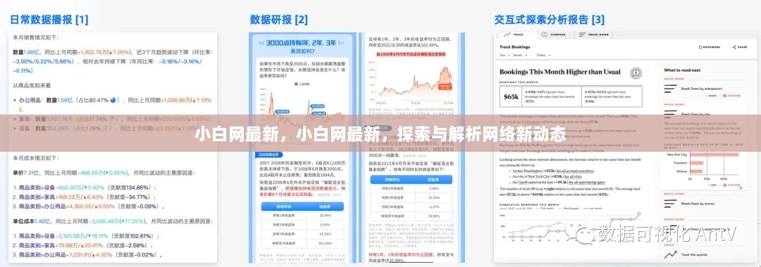 小白网最新探索与解析网络新动态