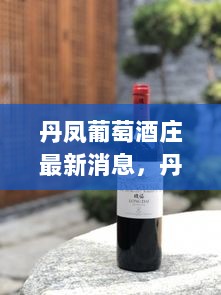 丹凤葡萄酒庄，自信与成就之歌的最新篇章