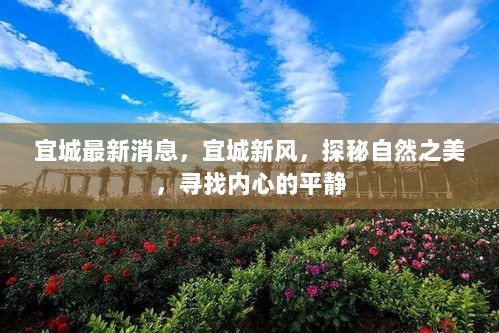 宜城新风探秘自然之美，寻找心灵平静之旅的最新消息