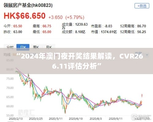 “2024年澳门夜开奖结果解读，CVR266.11评估分析”