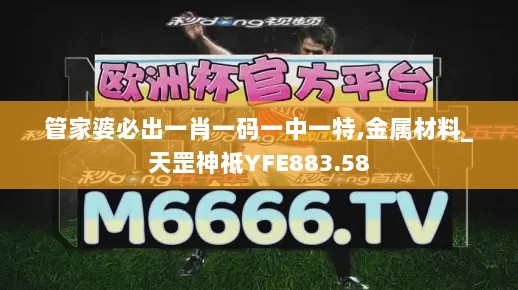 管家婆必出一肖一码一中一特,金属材料_天罡神祗YFE883.58