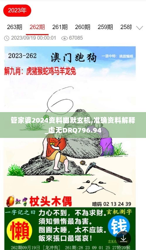 管家婆2024资料幽默玄机,准确资料解释_虚无DRQ796.94