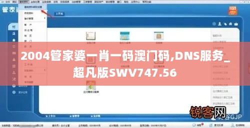 2004管家婆一肖一码澳门码,DNS服务_超凡版SWV747.56