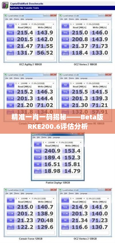 精准一肖一码揭秘——Beta版RKE200.6评估分析