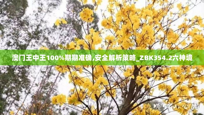 澳门王中王100%期期准确,安全解析策略_ZBK354.2六神境