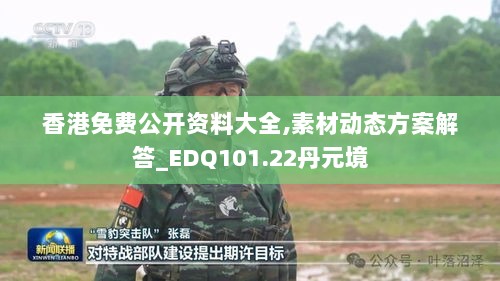 香港免费公开资料大全,素材动态方案解答_EDQ101.22丹元境