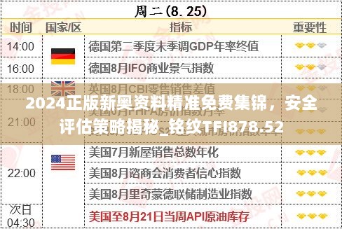 2024正版新奥资料精准免费集锦，安全评估策略揭秘_铭纹TFI878.52