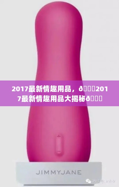 2017年最新情趣用品市场揭秘