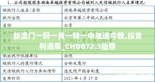 新澳门一码一肖一特一中准选今晚,投资利润率_CHD872.3仙帝