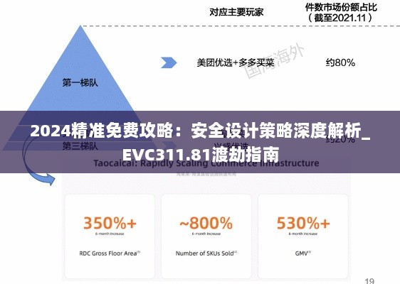 2024精准免费攻略：安全设计策略深度解析_EVC311.81渡劫指南