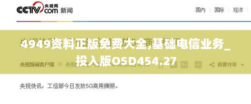 4949资料正版免费大全,基础电信业务_投入版OSD454.27