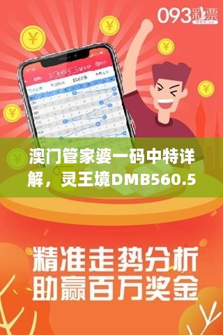 澳门管家婆一码中特详解，灵王境DMB560.5深度剖析