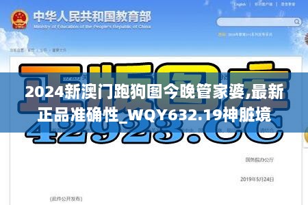 2024年11月13日 第87页