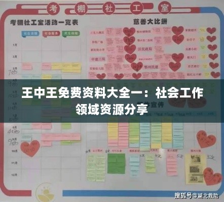 王中王免费资料大全一：社会工作领域资源分享