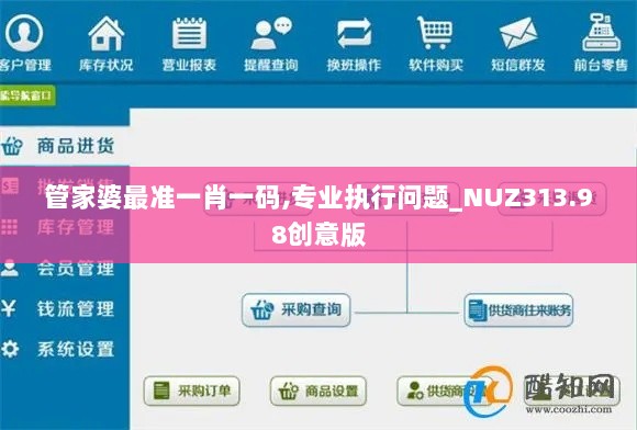 管家婆最准一肖一码,专业执行问题_NUZ313.98创意版