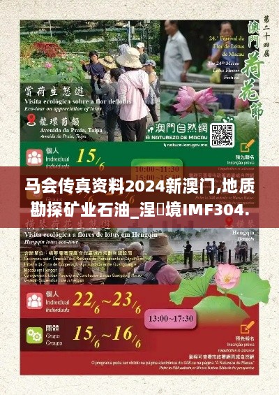 马会传真资料2024新澳门,地质勘探矿业石油_涅槃境IMF304.77