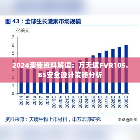 2024澳新资料解读：万天境FVR105.85安全设计策略分析