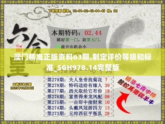 澳门精准正版资料63期,制定评价等级和标准_SGH978.14完整版